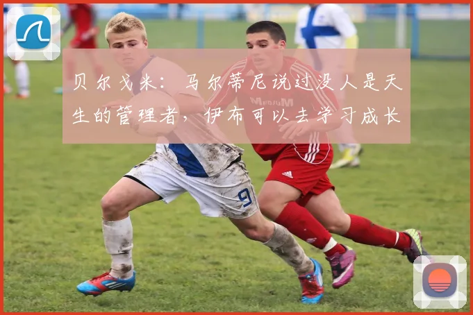 贝尔戈米：马尔蒂尼说过没人是天生的管理者，伊布可以去学习成长